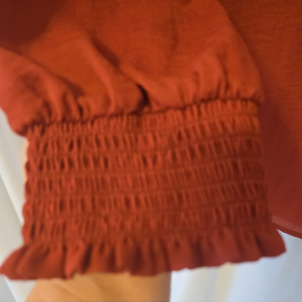 Loft Plus Women's Long Sleeve Rust Orange Semi Sheer Blouse Size 18‎ - Picture 4 of 4